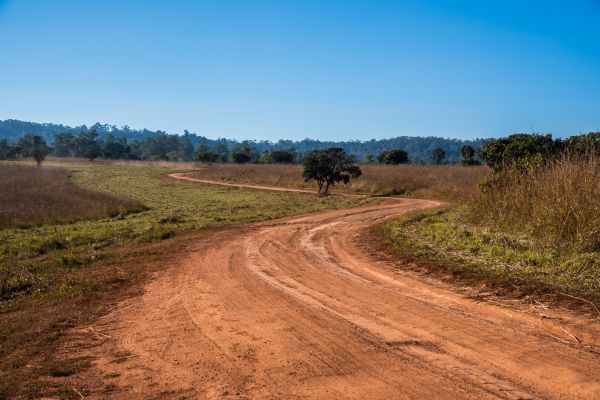 Dirt Driveway Repair in Asheville