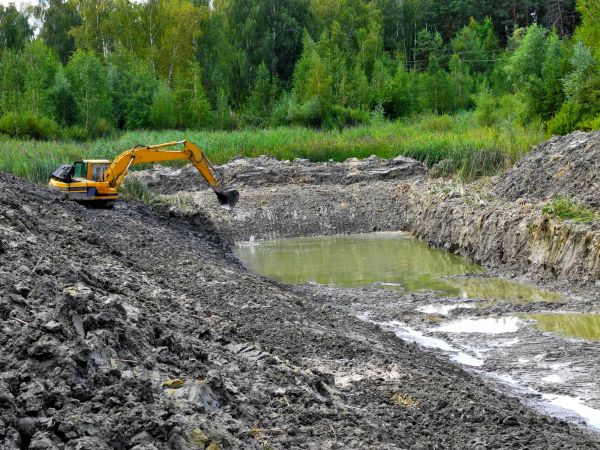 Cost of Fish Pond Digging in Asheville